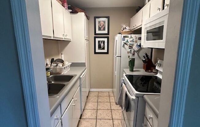 1 bed, 1 bath, $1,250, Unit A6