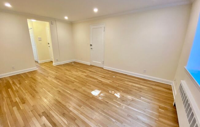 Spacious 1-Bedroom Apartment in Coolidge Corner – 1 Month Free!