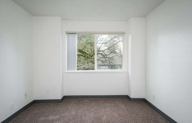 a room with a large window and a carpet