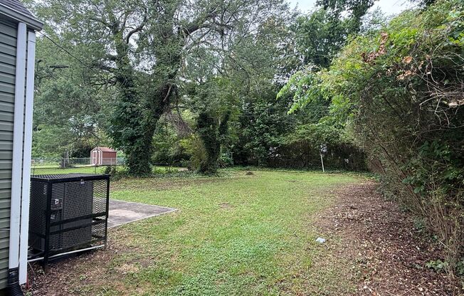 1419 Overlook St. RECENTLY RENOVATED 4 BD 1 BTH HOME