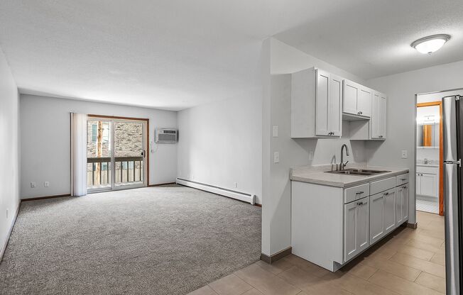 1 bed, 1 bath, 675 sqft, $1,095, Unit 319