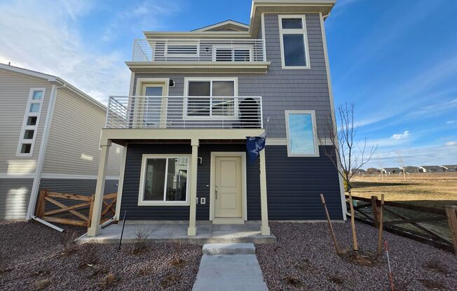 Stunning New Home Build in Beautiful Banning Lewis Ranch!!!