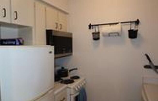 Super Cute, Tastefully Furnished, Hyde Park Condo