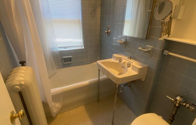 Studio, 1 bath, 380 sqft, $950, Unit 609