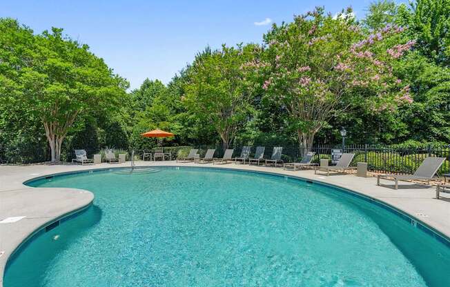 A swimming pool surrounded by trees and chairs.