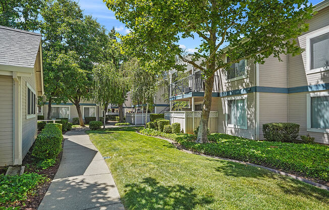 Lawn at Clayton Creek Apartments, California, 94521