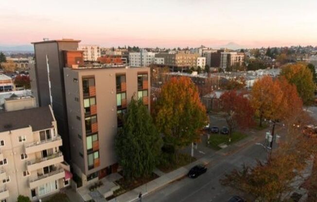 Studio, 1 bath, 236 sqft, $1,198, Unit 210