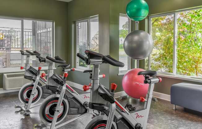 a group of bikes in a room with windows