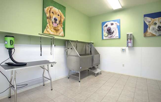 Dog-Friendly Apartments in Tyler, TX - Community Indoor Dog Spa with Bathing Area and Grooming Station.