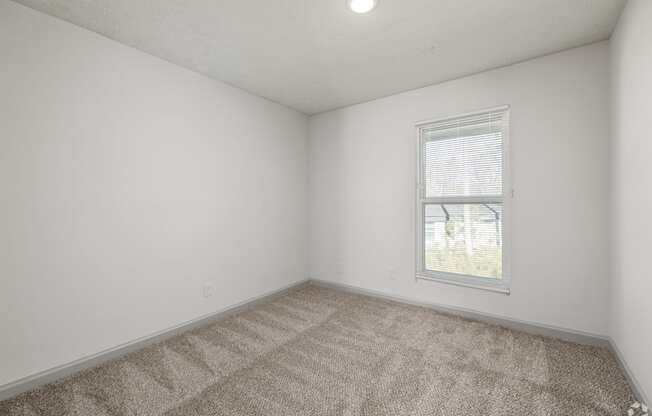 A room with a carpeted floor and a window.