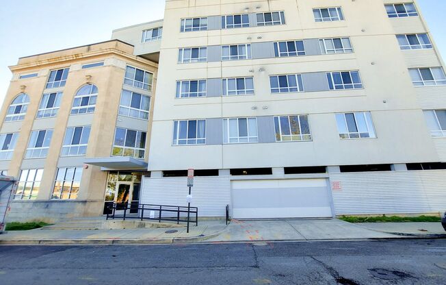 Spacious and Sunlit 1 BR 1 BA in 16th St Heights