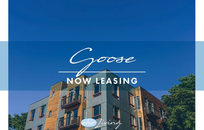 Studio, 1 bath, 418 sqft, $1,199, Unit 101