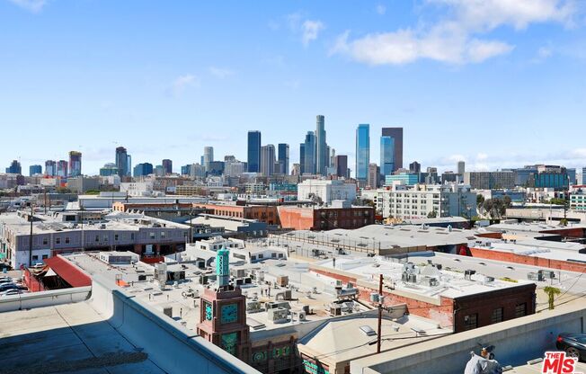 1 bed, 1 bath, 1,300 sqft, $4,000, Unit 529