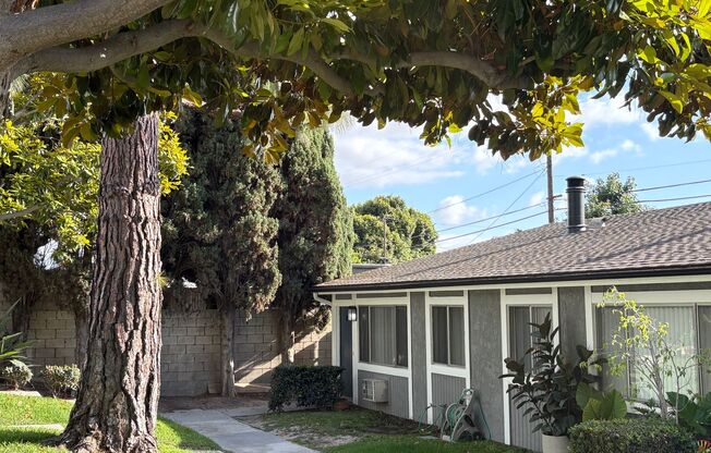 Cinnamon Creek Apartments