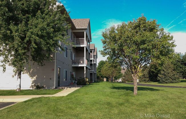 2 beds, 1 bath, $1,130