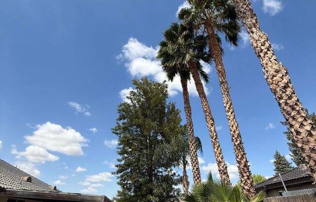 Spacious 4-Bedroom Home in Southwest Bakersfield