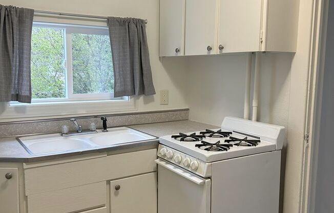 Studio, 1 bath, 225 sqft, $475, Unit 2