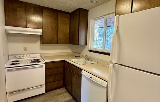 1 bed, 1 bath, 700 sqft, $1,295, Unit 4