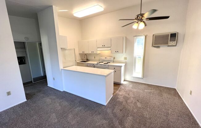 1 bed, 1 bath, 675 sqft, $1,985, Unit 305