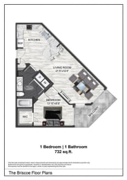 1 bed, 1 bath, 732 sqft, $1,550