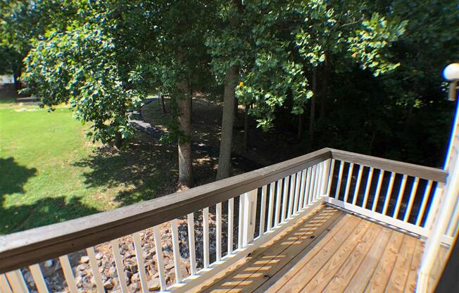 It's a Renovation Celebration!