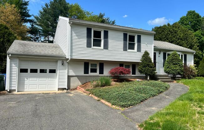 Single Family, Raised Ranch With Many Updates!
