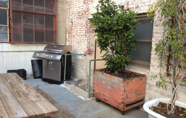 Studio, 1 bath, 300 sqft, $1,525, Unit 101