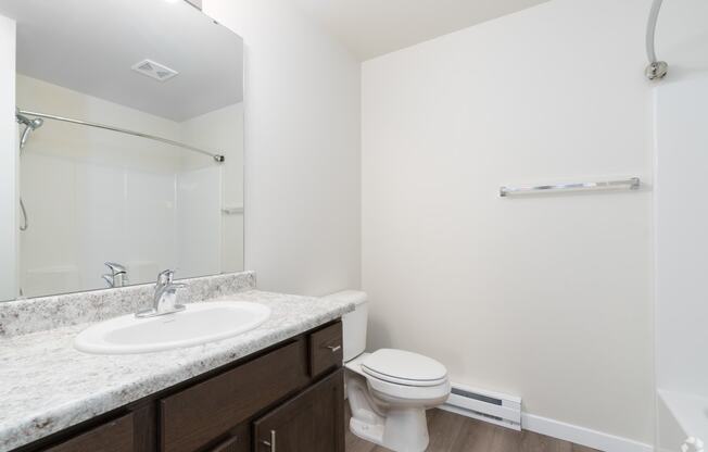 a bathroom with a sink and a toilet and a mirror
