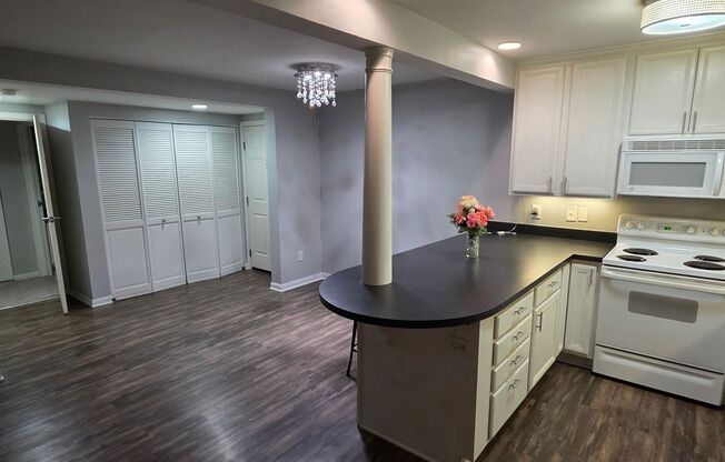 2 bedroom 2 bath downtown condo