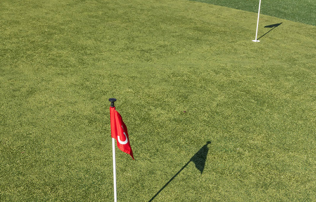 A golf course with a red flag on the green.