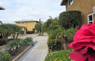 Franciscan Garden
