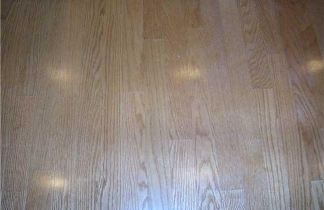 K021 - Treehouse #204