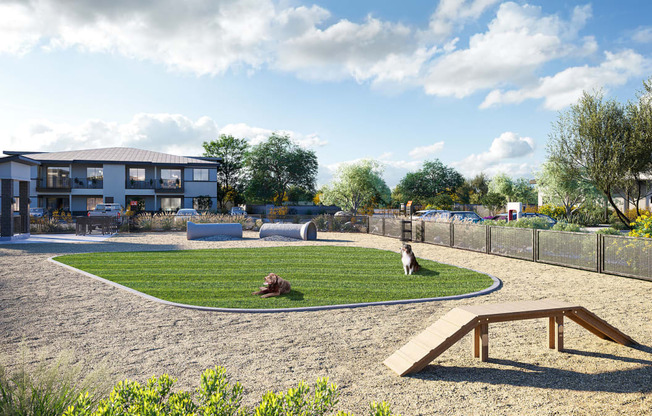 Pet Park with grass at Solstice Living Apartments in Tucson Arizona