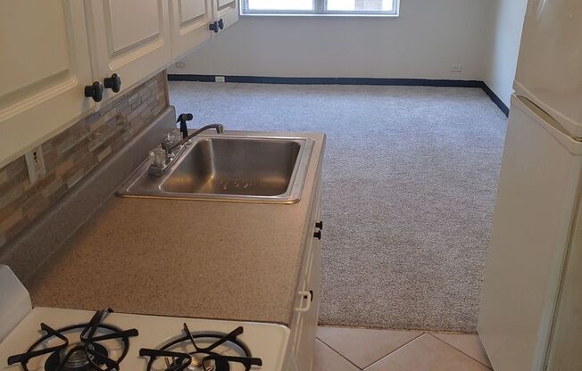 Studio, 1 bath, $795, Unit 310