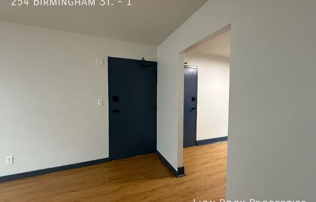 254 BIRMINGHAM ST