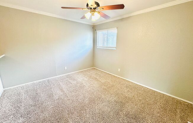 Studio, 1 bath, 500 sqft, $795, Unit 219