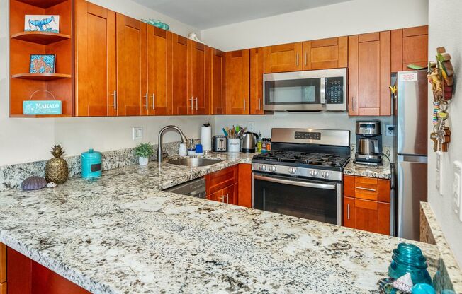 1/1 Updated Furnished Condo + Private Lanai