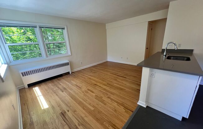 1 bed, 1 bath, 606 sqft, $1,495, Unit 308