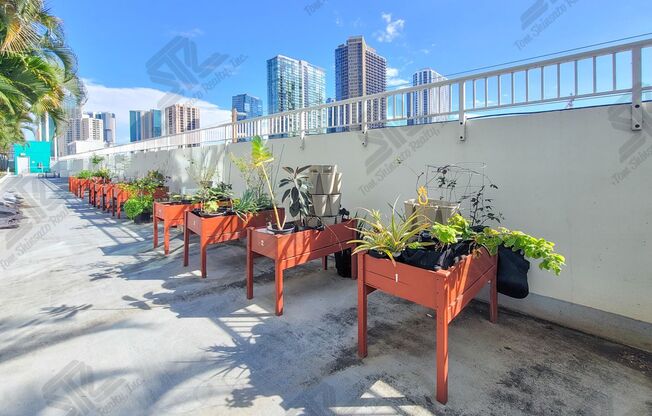 1 bed, 1 bath, $2,700, Unit APARTMENT # 806