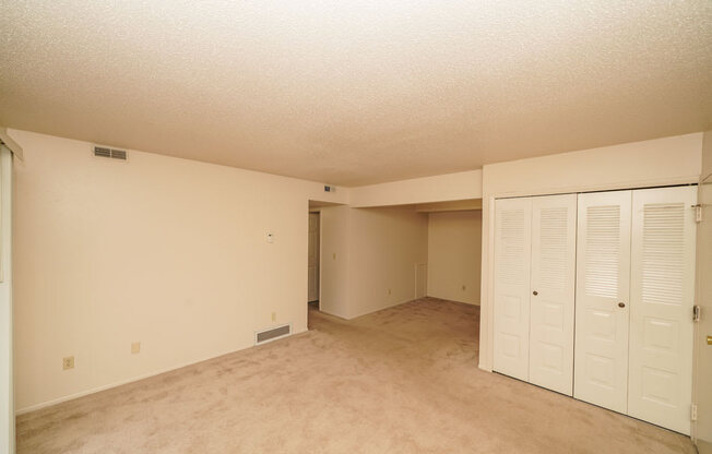 Living Room with Lots of Closet Space at Madeira Apartments in Kalamazoo, MI