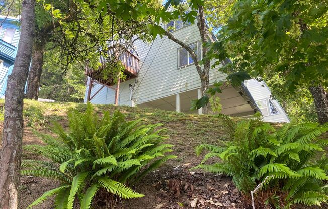 3 bedroom 1.5 Bath Tandem Home!
