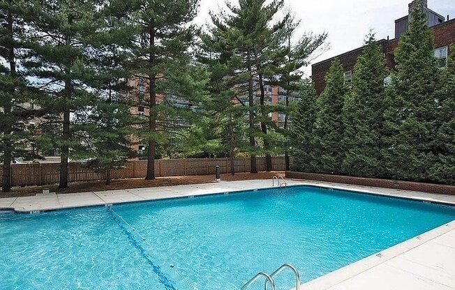 Studio, 1 bath, 477 sqft, $2,625, Unit 206