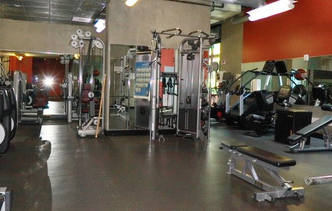 1 bed, 1 bath, $2,750, Unit # 1505