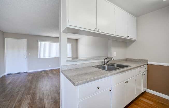 The Palms Apartments Empty Apartment Kitchen 