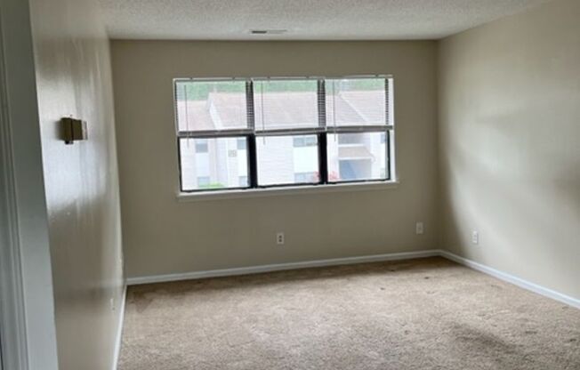 1 bed, 1 bath, 640 sqft, $980, Unit 196M