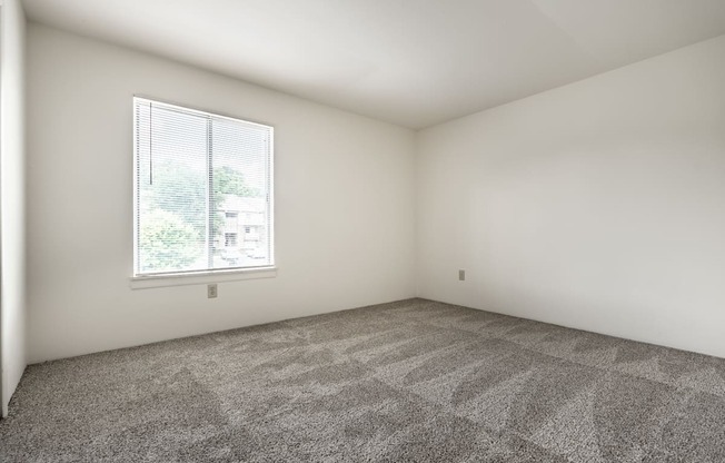 A room with a carpeted floor and a window