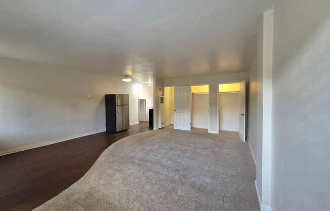 Studio, 1 bath, $1,295, Unit 209