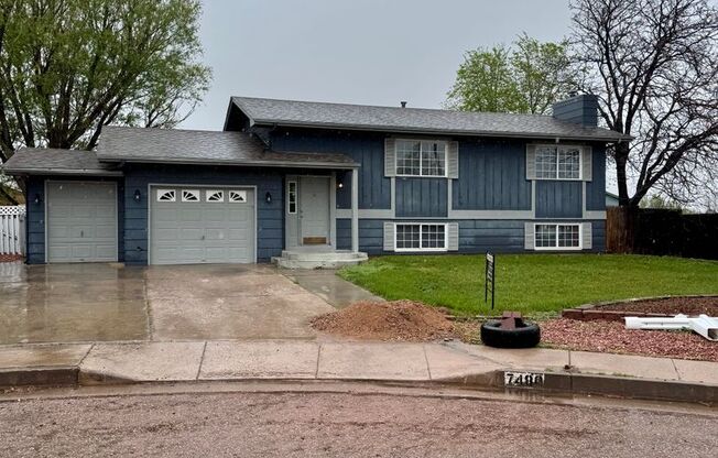 Lovely 3 bedroom+ Office in Widefield