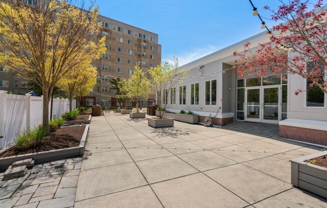 1 bed, 1 bath, 804 sqft, $2,400, Unit 804