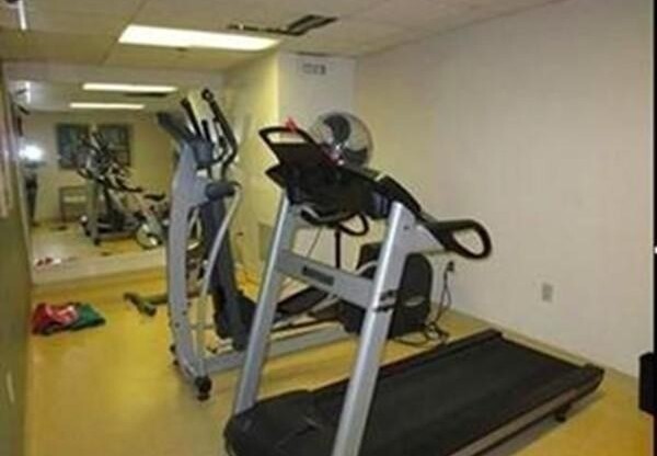 1 bed, 1 bath, 774 sqft, $2,000, Unit 313